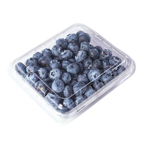 Blueberry 170g Pz